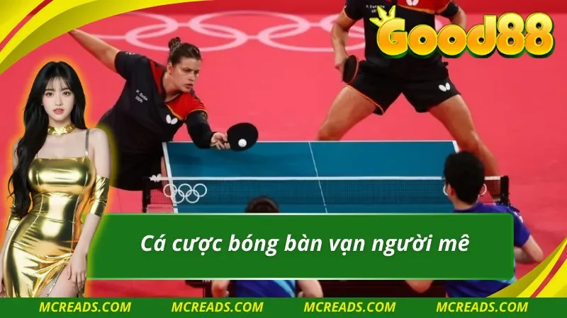 Cá cược bóng bàn cực đỉnh tại SBO thể thao