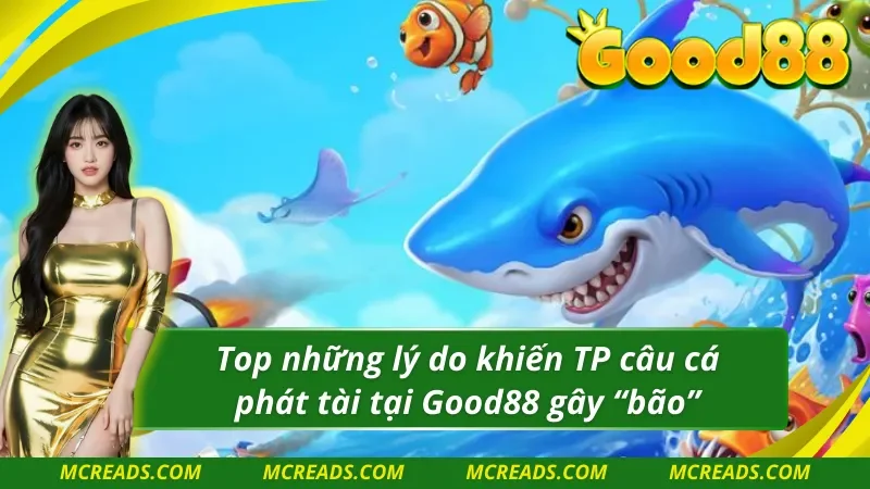 Những lý do khiến TP câu cá trở thành “hiện tượng mạng”